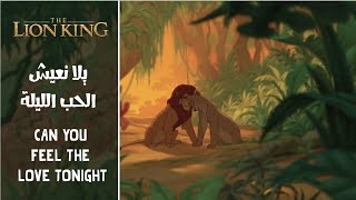 The Lion King  Can You Feel The Love Tonight Arabic  SubsampTrans [upl. by Amlev]