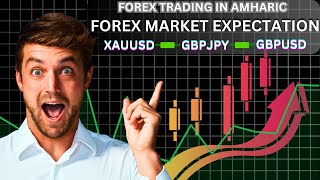 MARKET BREAKDOWN IN AMHARIC  OCT 13 2024 ethiopia trading forextradinginethiopia ebs forex [upl. by Boak]