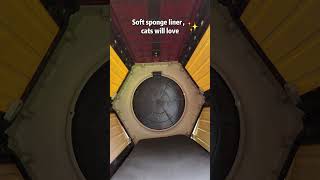 Aivituvin Heated Cat House gives stray cats a safe warm refuge in any weathercatshelter feralcat [upl. by Nedla]