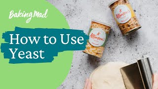 How to Use Yeast  Baking Mad [upl. by Ahsirahc]