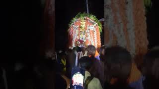 Arehalli sri kariyamma devi hole pooje [upl. by Natty806]