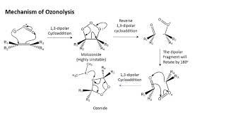 Ozonolysis  An overview in less than 7 minutes [upl. by Bergren]