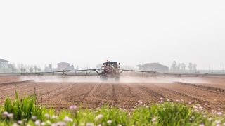 Cosè il glifosato e quali sono gli effetti su salute e ambiente [upl. by Shana]