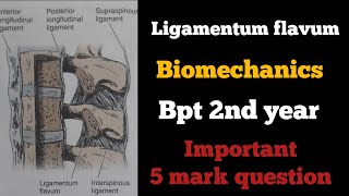 ligamentum flavum biomechanics in tamil ligaments of spinebiomechanics of spinebptbiomechanics [upl. by Ranitta]