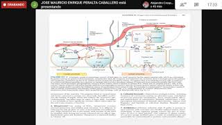 Farmacología del sistema gastrointestinal [upl. by Nylkcaj]