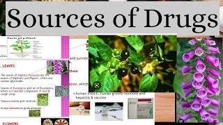 Sources Of Drugs in Pharmacology Natural Semisynthetic and Synthetic [upl. by Barling]