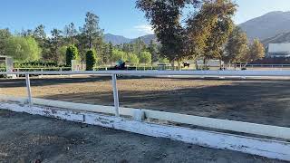 Western Dressage Intro Test 2  2022 6694 [upl. by Nosyaj545]