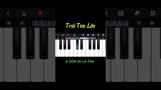 Trái Tim Lớn  Piano Cover piano pianotutorial tiktok pianocover music pianomusic [upl. by Katz]