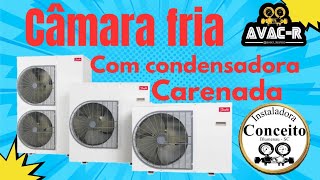 Condensadora Carenada componentes câmara fria [upl. by Yaj]