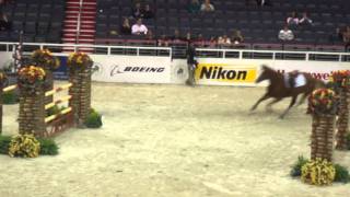 Chaos at the Washington International Horse Show [upl. by Oznol]