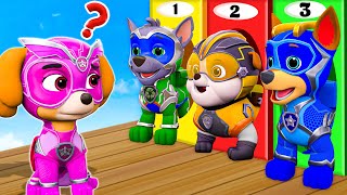 PAW Patrol Ultimate Rescue Missions Chase Tracker amp Marshall  Escape Room Challenge Max Level [upl. by Eblehs]