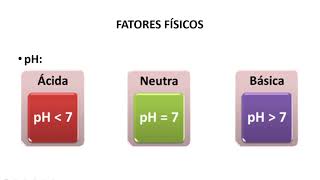 CRESCIMENTO DOS MICRORGANISMOS [upl. by Lach]