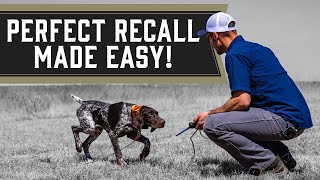 How To Keep Your Dog From Running Away From You  Ecollar Training [upl. by Asaret]