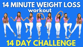 Weight Loss Workout  14Minute Workout at Home  Do this for 14 days  All Standing Moves [upl. by Savory846]