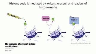 Deciphering Cancer The Intersection of Epigenetics Metabolism and Tumorigenesis [upl. by Enirehs]