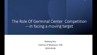 Germinal center competition [upl. by Isiad]