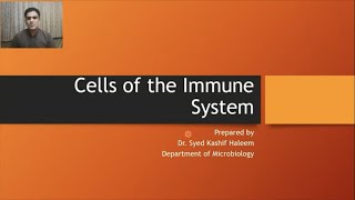 Cells of the immune system [upl. by Aesoh]