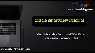 Oracle Smarview Functions HSGetValue HSSetValue and HSGetLabel  Oracle Smartview Tutorial  BISP [upl. by Nalaf]