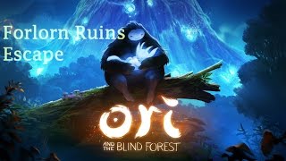 Ori and the Blind Forest Walkthrough  Forlorn Ruins Escape 12 [upl. by Repinuj39]