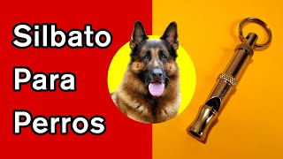 Silbato para Perros llama a tu Perro [upl. by Oinoitna]