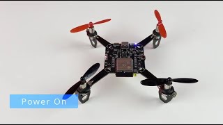 LiteWing  A Fun DIY WiFi Mini Drone based on ESP32 [upl. by Sikram]