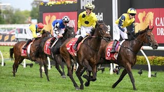 Melbourne Cup 2023  Everything you need to know 1 week out in 4 minutes and 33 seconds [upl. by Gaither]