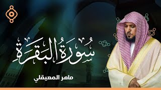 Surah Al Baqarah Maher Al Muaqliسورة البقرة مع الدعاء ماهر المعيقلي [upl. by Aneerb]