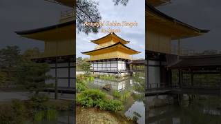 Japan’s Golden Temple in Kyoto  Kinkakuji Temple japan [upl. by Spalding701]