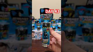 DAY 43  MrBeast Lab Swarms BETTER LATE THAN NEVER MrBeast ​⁠MrBeast [upl. by Beaufort]