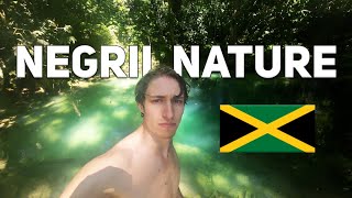 Exploring The Nature of Negril Jamaica 🇯🇲 [upl. by Amary]