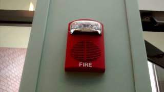 Fire Alarm Activation Due to Suppression System [upl. by Saul]