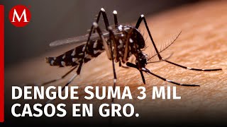 ¿Debemos preocuparnos por el aumento de casos de dengue en Guerrero [upl. by Cinemod]