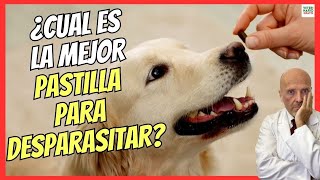 💝 ¿CUAL ES LA MEJOR PASTILLA PARA DESPARASITAR PERROS POR DENTRO 💝 [upl. by Notnelc178]