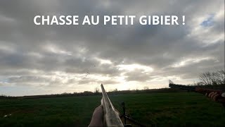 CHASSE au PETIT GIBIER  20232024 [upl. by Larentia]