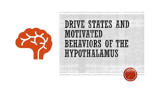 Drive States and Motivated Behaviors of the Hypothalamus [upl. by Arihk661]