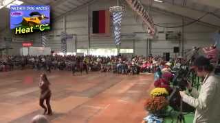 2014 Frankenmuth Oktoberfest Wiener Dog Races  The Heats amp Finals [upl. by Backler]