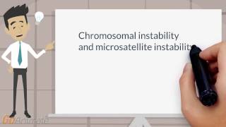 Chromosomal and microsatellite instability [upl. by Acirahs]