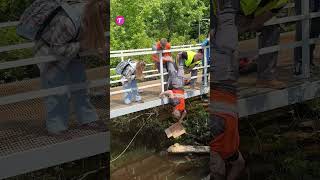 Rescue Operation Construction Workers Save Pet from Ditch shorts [upl. by Enelehs]