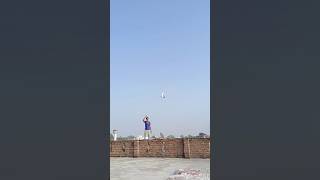 pigeon video 🕊️😍🥰 pigeon pigeontraning bird kabootar dostistatus youtubeshorts [upl. by Uhej]