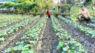 সঠিক জমি নির্বাচনে ভুল করবেন না শসার ভালো ফলন পেতে  Bangladesh agro LTD [upl. by Leontina249]