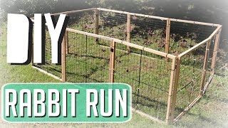 How I Made My Rabbit Run [upl. by Adamo453]