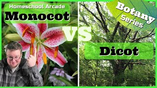 Monocots VS Dicots  6 Main Differences Between Monocots amp Dicots [upl. by Nathanial357]