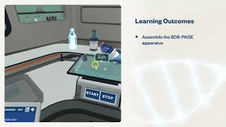 SDSPAGE Separating proteins by molecular weight  Virtual Lab [upl. by Laehpar]