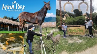 Animal Park Baños  Ecuador [upl. by Oran423]