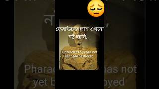 Feraun las ফেরআউন লাশ এখনো নষ্ট হয়নিsong shorts lion chill [upl. by Alaine633]