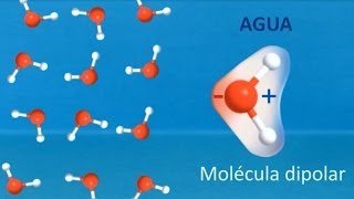 Experimento sobre Polaridad de Disolventes Divulgación científica IQOGCSIC [upl. by Ellennahs]