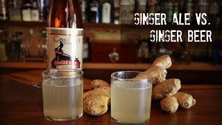 Ginger Ale vs Ginger Beer what’s the difference [upl. by Augustin]