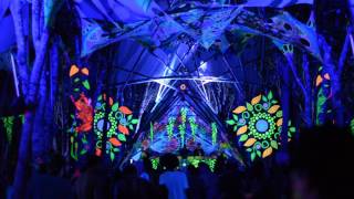 Whiptongue Live  Ecologic Festival 1 [upl. by Admana]