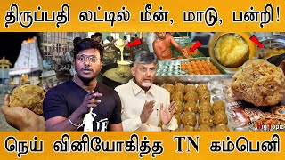 திருப்பதி லட்டில் மீன் மாடு பன்றி  Animal Fat In Tirupati Laddu  Chandrababu Naidu  Tirumala [upl. by Dessma]