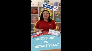 Yeast 101 Active Dry vs Instant Yeast [upl. by Nairadal]